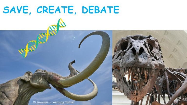 Save Create Debate